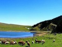 八道湾十一号读后感精选10篇