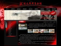 《武之舞》观后感10篇