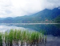 《世间所有相遇都是久别重逢》经典句子