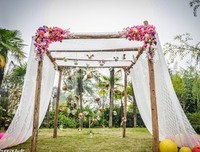 《婚礼之前，与你告别》读后感10篇