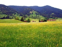 顾锦妍格言警句