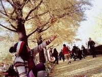 人间须尽欢读后感精选10篇