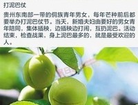 芒种：用麦色温暖心灵