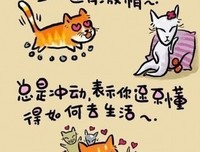 最经典的angelina经典语录