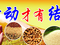 极其平静的高三最后一天