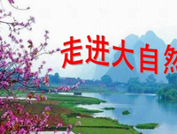 自然之美经典读后感10篇