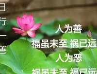证严法师名言名句