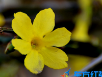 春花秋月的名言_关于春花秋月的名言