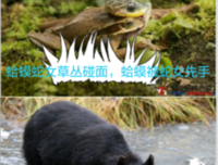 水水的名言_关于水水的名言