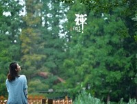 人生，有时真的需要一点点禅悟