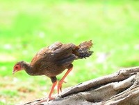 《觅迹寻踪》观后感精选10篇