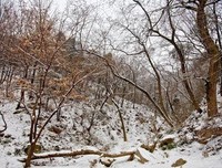 《云横秦岭》读后感10篇