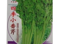 《四季锦》读后感精选10篇