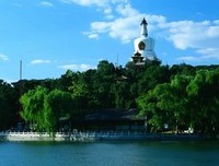 《一万年太久，爱我，现在》读后感10篇