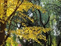 这个618，你不能错过它