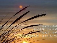 那些正能量的句子你最喜欢哪一句？