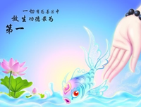 放生的那些事