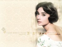 《梦回玛丽莲》经典观后感集
