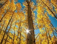 quot; 除非互相喜欢 否则所有喜欢都是心酸 
