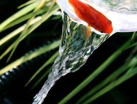 一生 释怀 ，似海