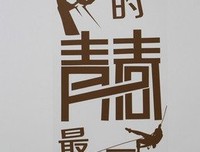 芳华一的句子