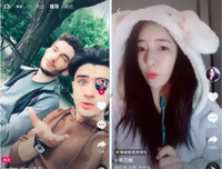 抖音上拍猫的妹子，玩死了她的猫