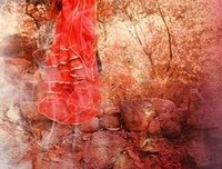《朱雀》经典读后感10篇