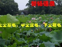 15条关于圆融的经典语句