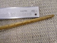 《老那》的观后感10篇