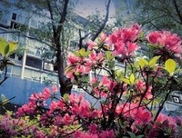 你若懂我，该有多好的读后感10篇