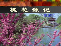 最新的《世有桃花》经典的句子