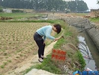 《《生活教育》》读后感精选10篇