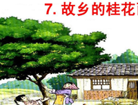 《忧郁的故乡》读后感10篇