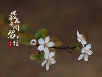最经典的《失控》小说句子