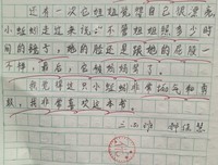《步行者日记》经典读后感10篇