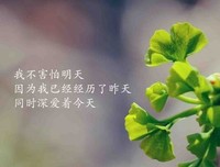 15条关于三拜的经典语句