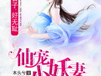 最新的《公子无耻》小说书摘