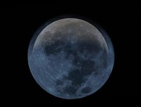 给每一棵菜取一个名字