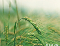 一直在你生命里的读后感10篇