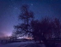 《昨夜星辰昨夜风》读后感精选10篇