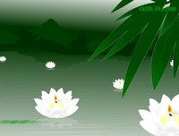 善待自己，活出精彩的人生