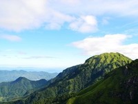 《武功山别恋》经典观后感10篇