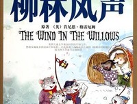 鱼石读后感精选10篇
