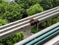 有一种痛，叫爱过
