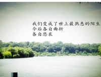 沉默的名句_关于沉默的名句