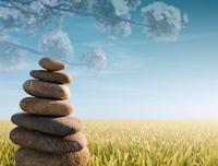 关于 独特 的格言