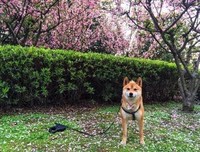 再想你，也不会主动了！