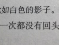 《白夜行》名句欣赏