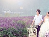 最新的《莫负寒夏》经典语句大全