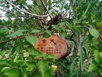 哪种男人，女人再爱也要离开？